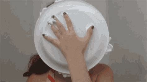 pie in the face gif